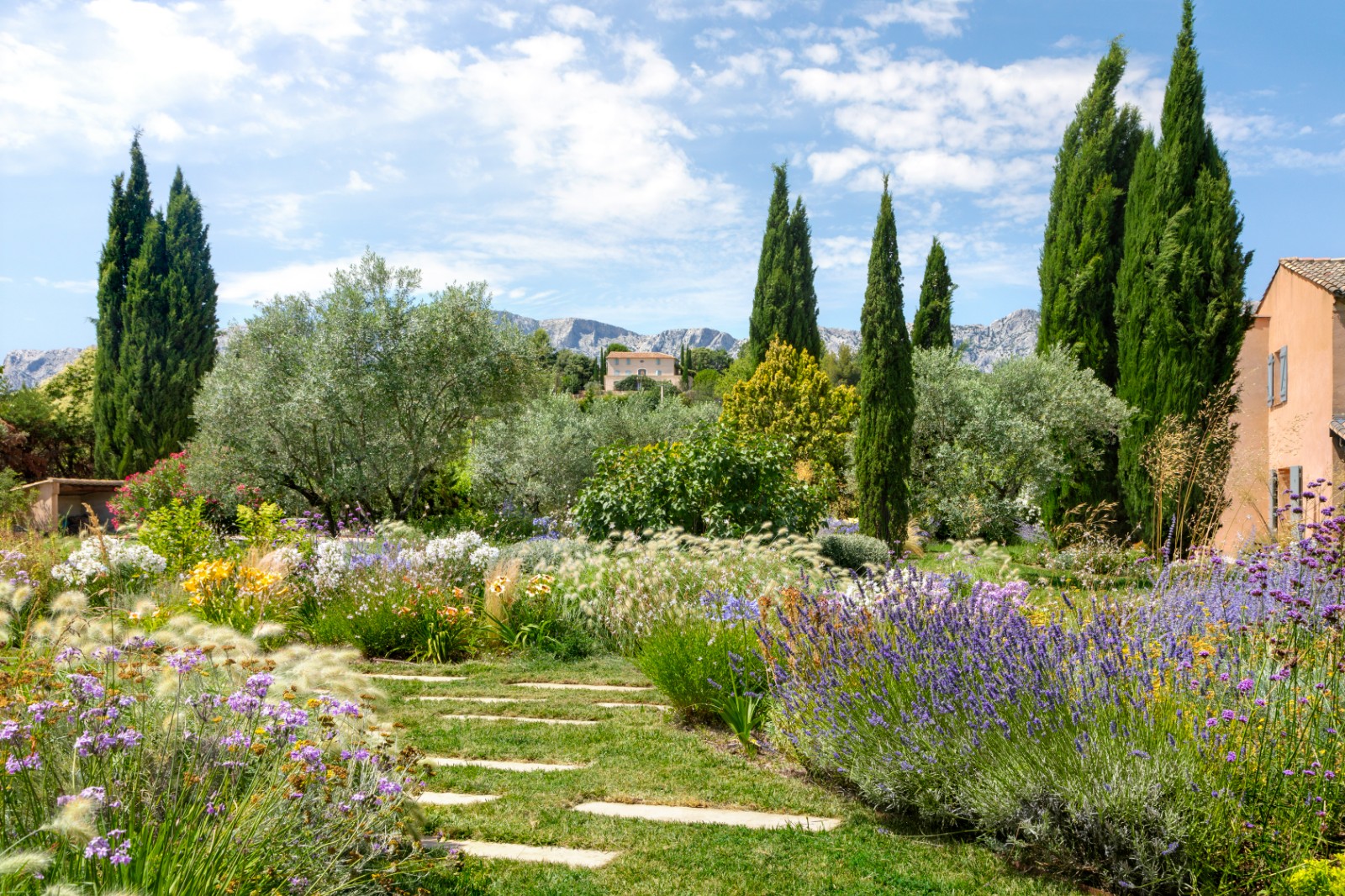 Jardin méditerranéen fleuri